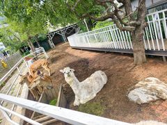 -丽泽山庄·生态怀柔菜·虹鳟鱼(红螺寺店)