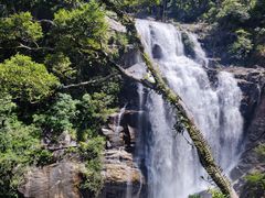 -海南热带雨林国家公园吊罗山景区