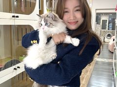 -青奢宠物·青奢猫舍