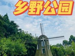 -夏河溪乡野公园