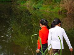 -桤木河湿地公园