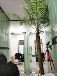 -OnHair Salon