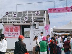-鹅湖玫瑰文化园