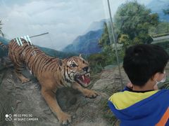 -国家自然博物馆