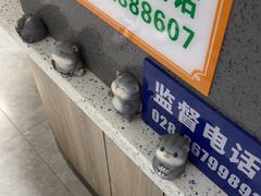-半岛宠物医院24小时(白果林店)