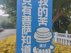 -野狸岛