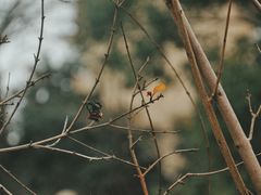 -径山寺
