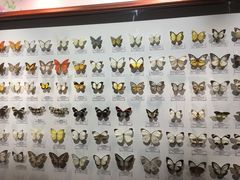 -吉林省自然博物馆