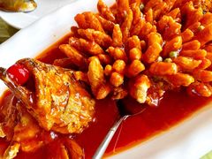 松鼠桂鱼-同和居(月坛店)