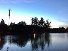 -老妈米线(港龙店)