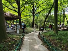 -西湖风景区-江洋畈生态公园