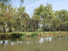 -西安浐灞国家湿地公园