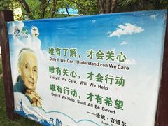 -青藏高原野生动物园