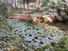 -石家庄市植物园