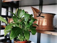 -SMOKI & CO(五大道店)