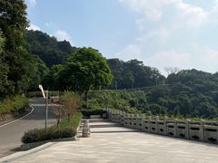 -火炉山森林公园