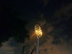 -重庆市奥林匹克体育中心-游泳跳水馆