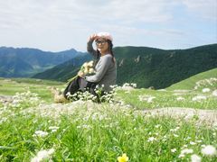 -蔚县茶山村