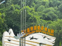 -西双版纳原始森林公园