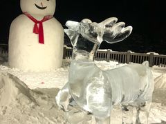 -长白山万达喜来登度假酒店