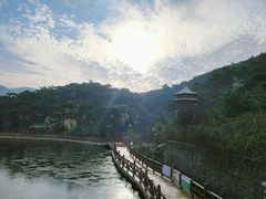 景点-徂徕山森林康养度假谷温泉