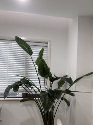 -上海首尔丽格医疗美容医院