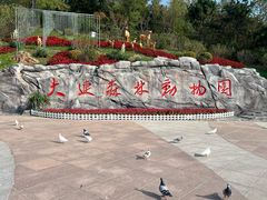 -大连森林动物园