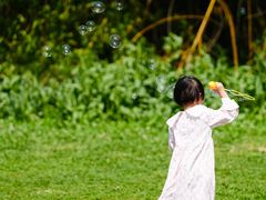 -贵阳市花溪国家城市湿地公园