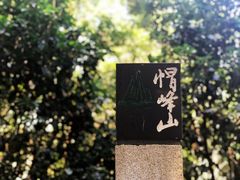 -广州市帽峰山景区