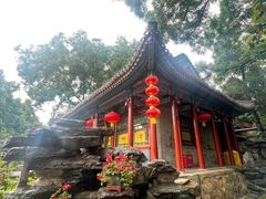 -白家大院·王府宫廷菜(苏州街店)