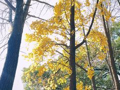 -汇龙潭