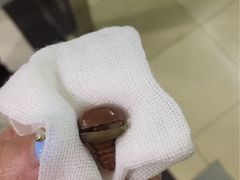 -爱侣宠医·鹦鹉专科·小型哺乳类·异宠专科(灵石路店)