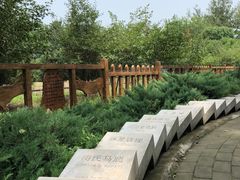 -北京麋鹿生态实验中心