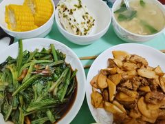 -鲸励母婴月嫂(望京店)