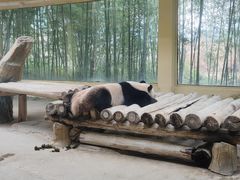 -杭州野生动物世界