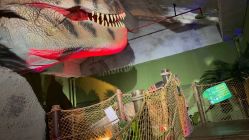 -恐龙探索乐园(磁器口店)