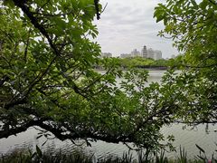 -江心屿景区