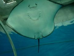 -北戴河圣蓝海洋公园