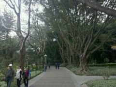 -人民公园(罗湖区)