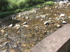 -将军关探险漂流