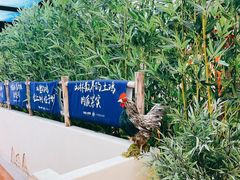 -洞庭土菜馆(天河北总店)