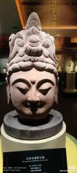 -十三美学·半永久纹眉纹唇·野生眉