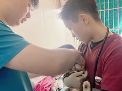 -美联众合动物医院·24h转诊中心