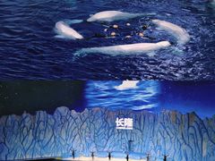 -珠海长隆海洋王国