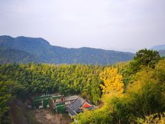 -莫干山风景区