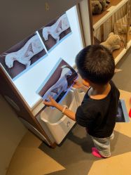 -超级奈尔宝SUPER NEOBIO(杭州星光店)