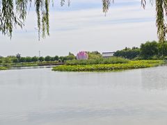 -白洋淀景区