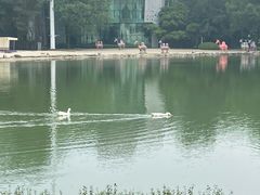 -Club Med地中海俱乐部·桂林度假村