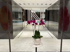 -长沙尼依格罗酒店