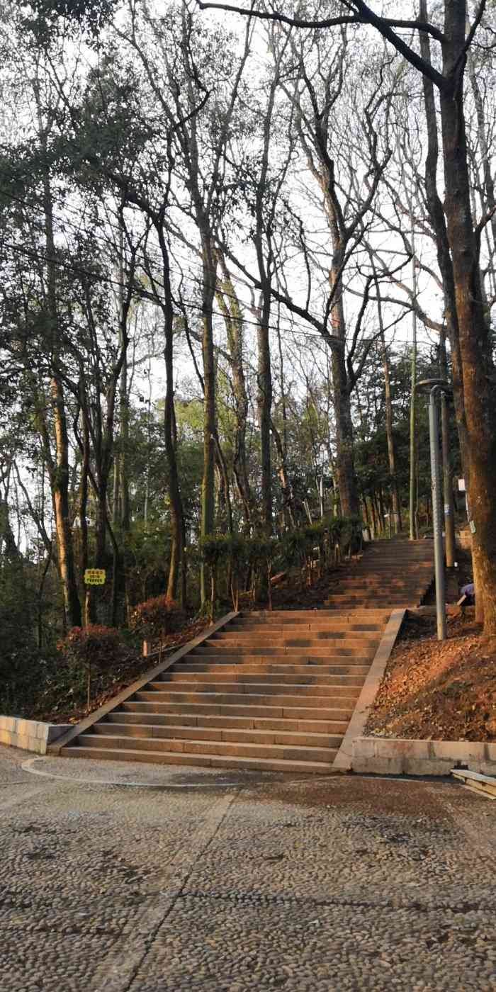 凤凰山森林公园-"凤凰山森林公园位于县城南岸,与县城隔江相.